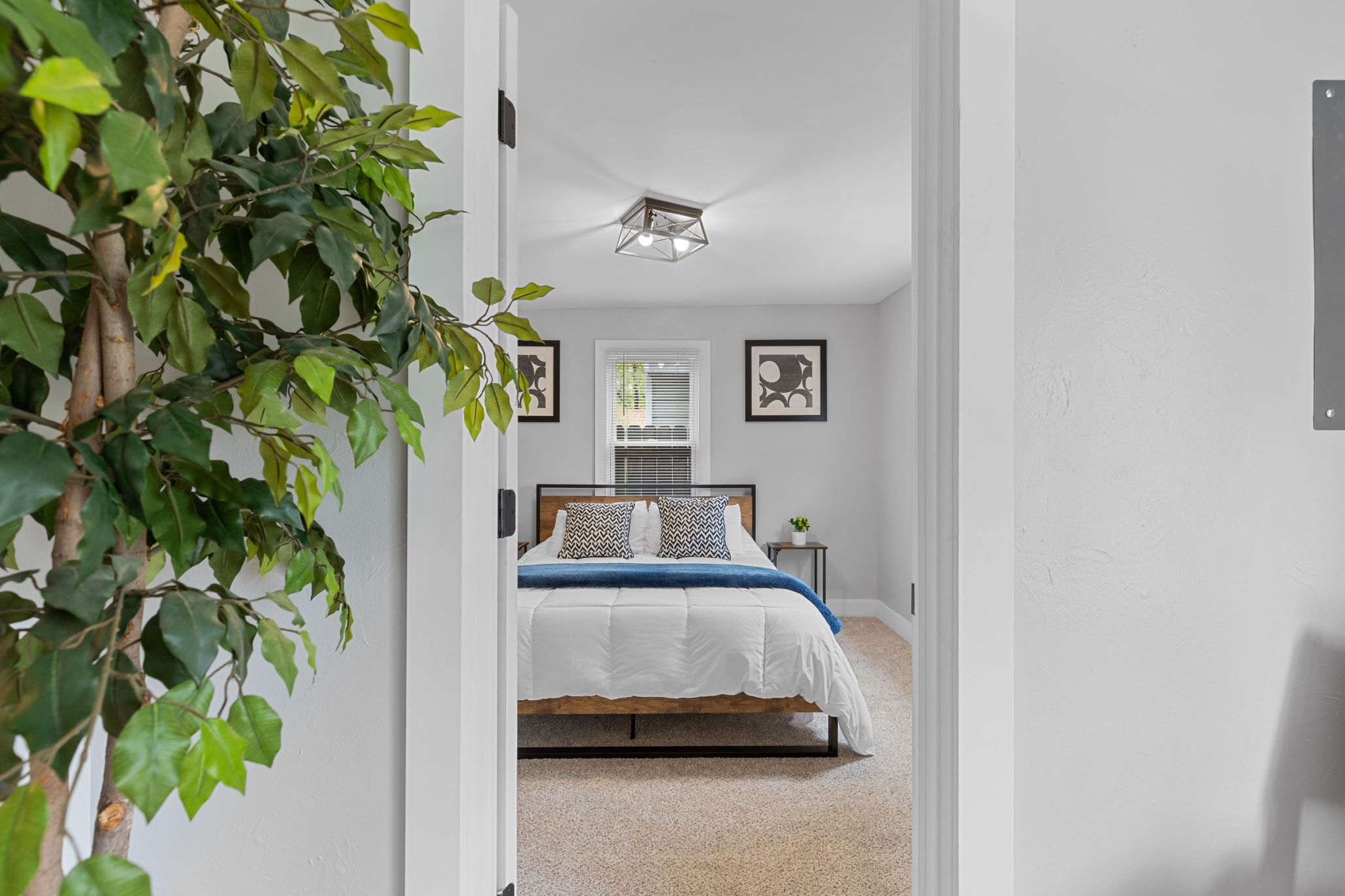 A Bedroom with a Bed and a Plant Next to It, Perfect for Short Term Rental Property Management
