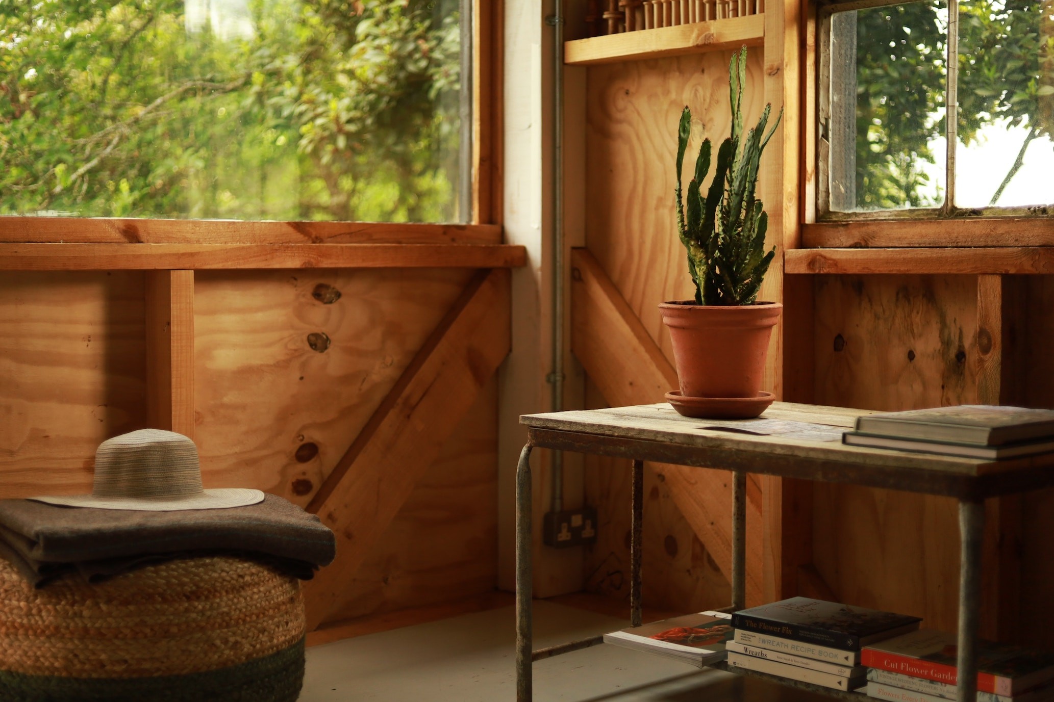 An Airbnb featuring a wooden table with a cactus on it next to a window.